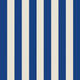 Blue/White