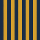 Yellow/Navy